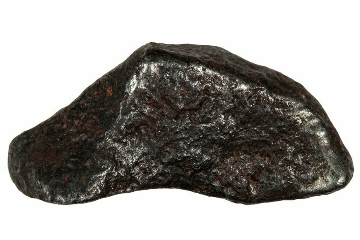 Gibeon Iron Meteorite ( g) - Namibia #334709